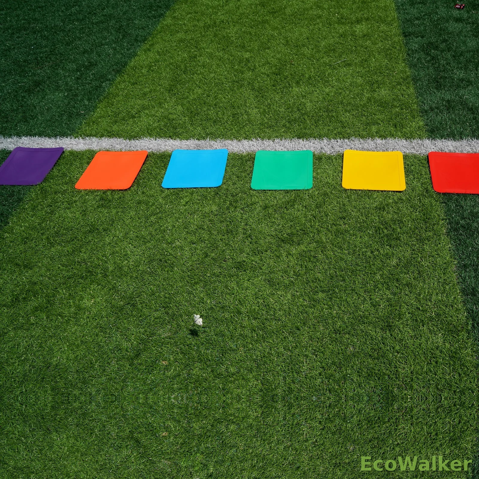 EcoWalker 30 厘米方形点位地标 混色 6 片装